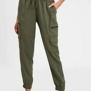Banana Republic Cargo Joggers